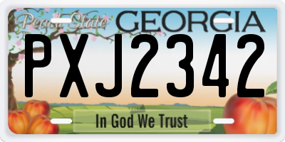 GA license plate PXJ2342