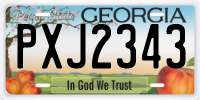 GA license plate PXJ2343