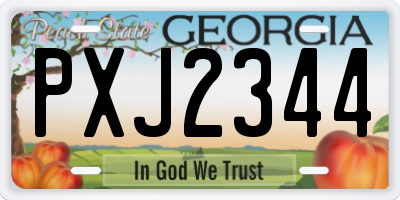 GA license plate PXJ2344