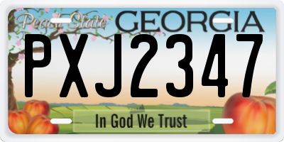GA license plate PXJ2347