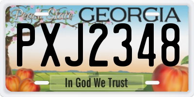 GA license plate PXJ2348