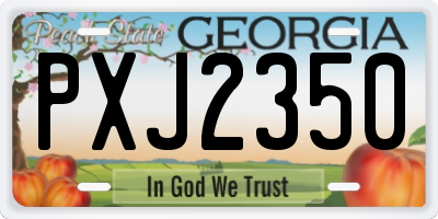 GA license plate PXJ2350
