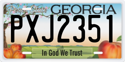 GA license plate PXJ2351