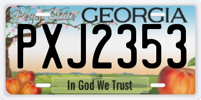 GA license plate PXJ2353