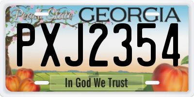 GA license plate PXJ2354