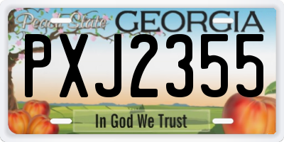 GA license plate PXJ2355