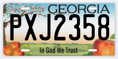 GA license plate PXJ2358