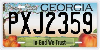GA license plate PXJ2359