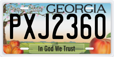 GA license plate PXJ2360