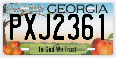 GA license plate PXJ2361