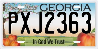 GA license plate PXJ2363