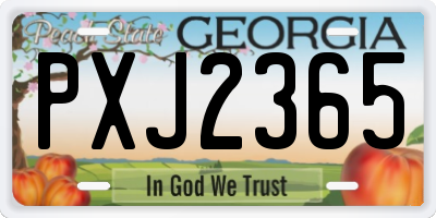GA license plate PXJ2365