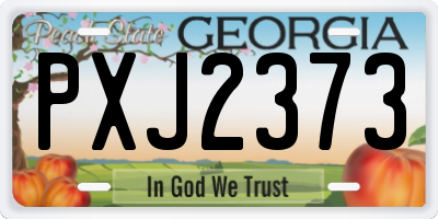 GA license plate PXJ2373