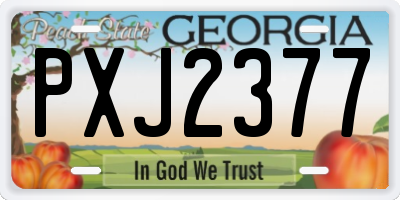 GA license plate PXJ2377