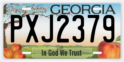 GA license plate PXJ2379