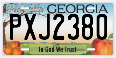 GA license plate PXJ2380