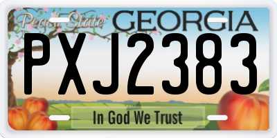 GA license plate PXJ2383