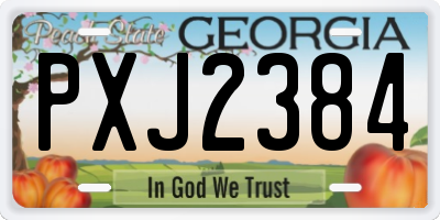 GA license plate PXJ2384