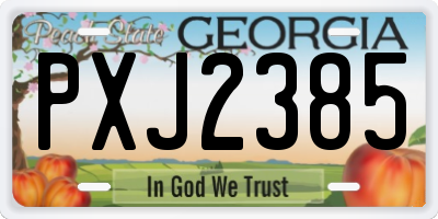 GA license plate PXJ2385