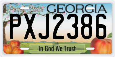 GA license plate PXJ2386