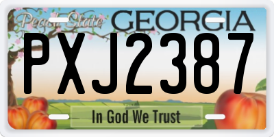 GA license plate PXJ2387