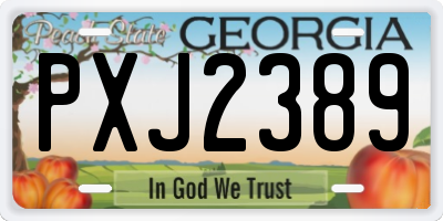 GA license plate PXJ2389