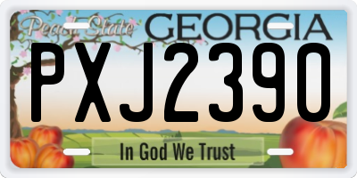 GA license plate PXJ2390