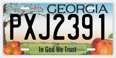 GA license plate PXJ2391