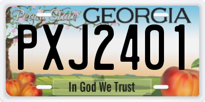 GA license plate PXJ2401