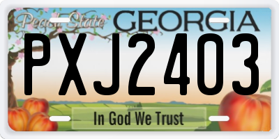 GA license plate PXJ2403
