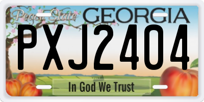 GA license plate PXJ2404