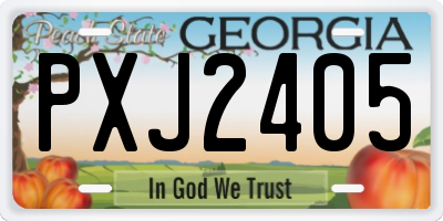 GA license plate PXJ2405