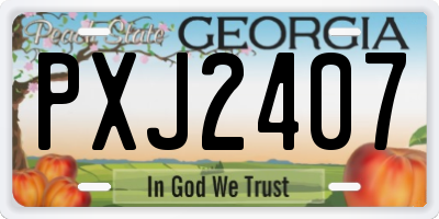 GA license plate PXJ2407