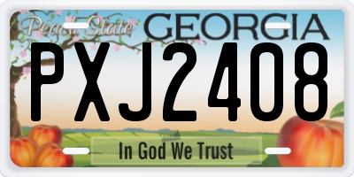 GA license plate PXJ2408