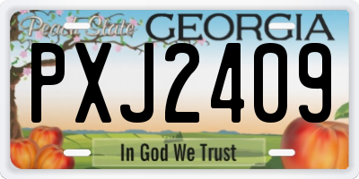 GA license plate PXJ2409