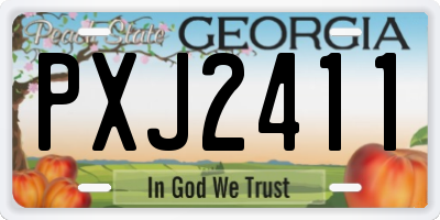 GA license plate PXJ2411