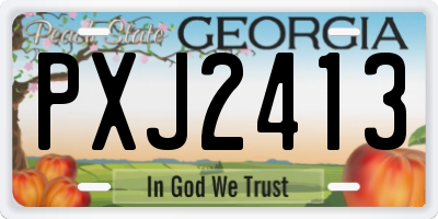 GA license plate PXJ2413