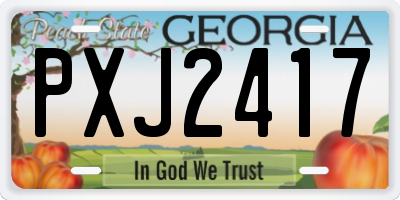 GA license plate PXJ2417
