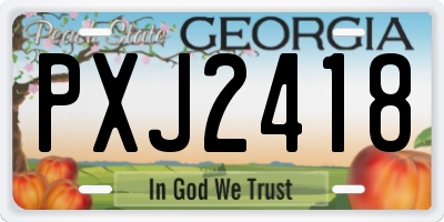 GA license plate PXJ2418