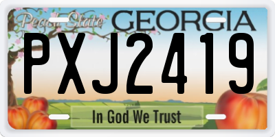 GA license plate PXJ2419