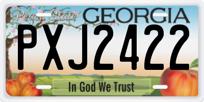 GA license plate PXJ2422