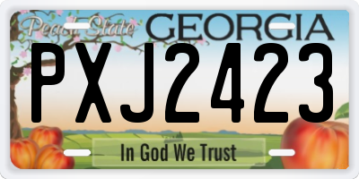 GA license plate PXJ2423
