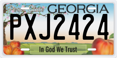 GA license plate PXJ2424