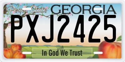 GA license plate PXJ2425