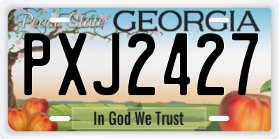 GA license plate PXJ2427