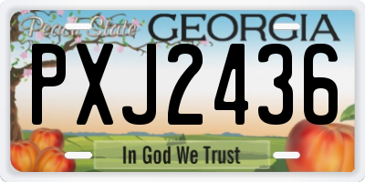 GA license plate PXJ2436