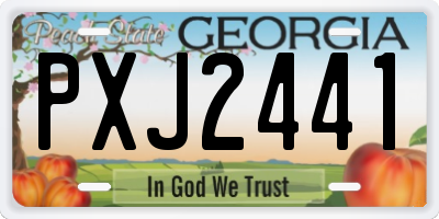 GA license plate PXJ2441