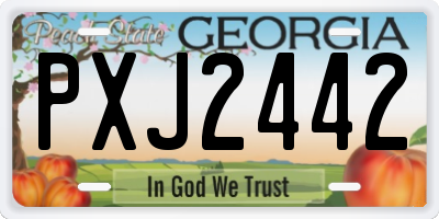 GA license plate PXJ2442