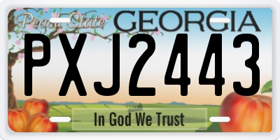 GA license plate PXJ2443