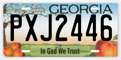 GA license plate PXJ2446